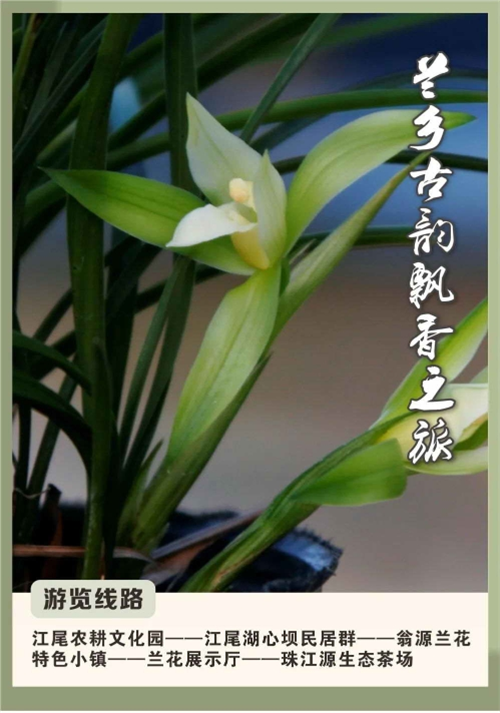 １１